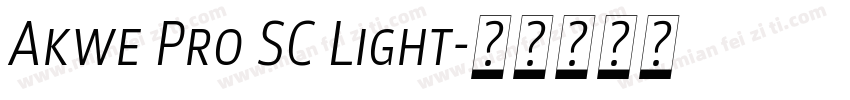 Akwe Pro SC Light字体转换